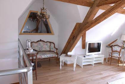 La Cour De Lise Hotel Straatsburg Buitenkant foto
